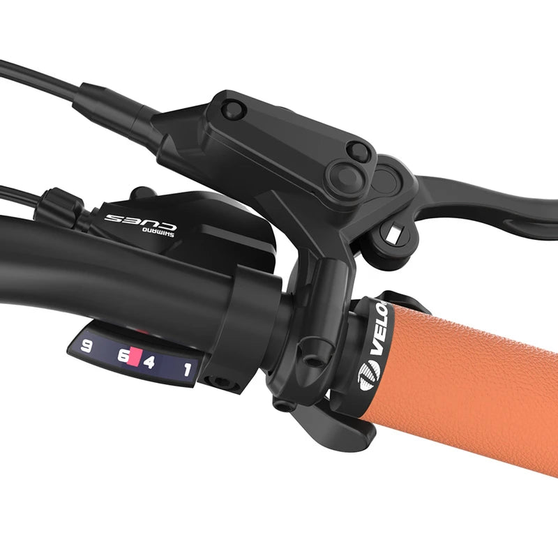 Fafrees F700M Elektrofahrrad 100 km