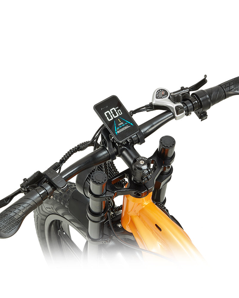 PULUMA PH003 MAX 2000W Fat Tire Doppelmotor Elektrofahrrad