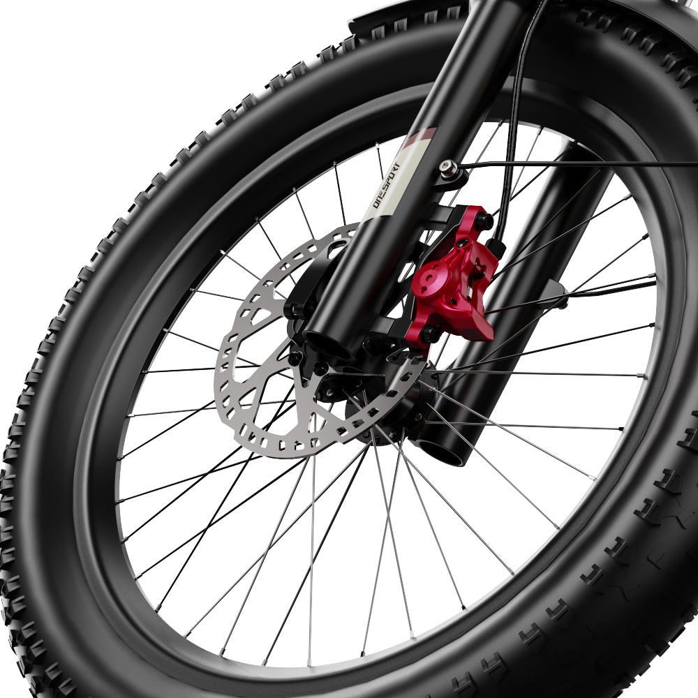 Onesport OT30 Pro Elektrofahrrad