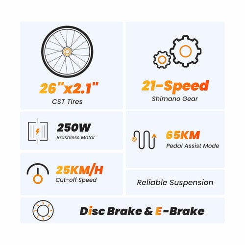 Touroll U1 26-Zoll-Offroad-Reifen-Elektrofahrrad 250-W-Motor, 36 V 13 Ah