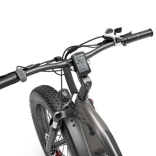 GOGOBEST GF600 Plus Elektrofahrrad, 1000 W Motor, 48 V 20 Ah