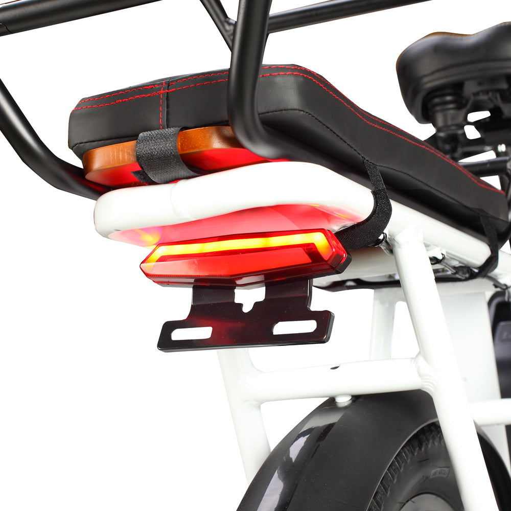 PHILODO Traveller Familien- und Lasten-Elektrofahrrad