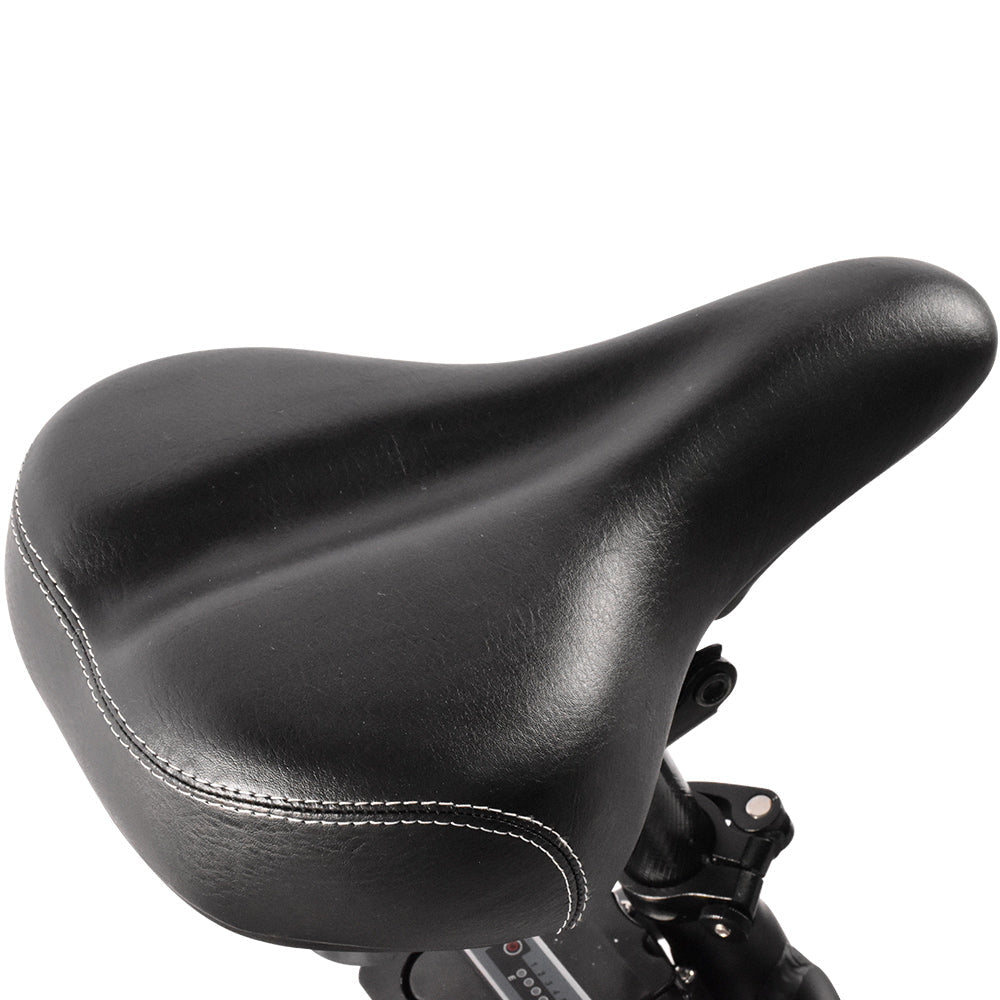 KAISDA K201 3.0 Elektrofahrrad 36V/20.8Ah