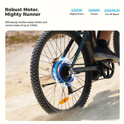 Foride Xtremer 3 Elektrofahrrad 250W 48V 12Ah