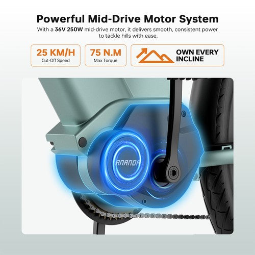 Foride Urbano 1 Elektrofahrrad, 250-W-Mittelmotor, 36 V 13 Ah