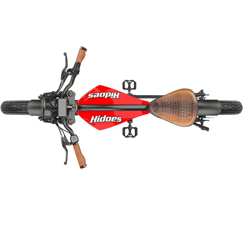 Hidoes B10 Elektrofahrrad 1000W Motor