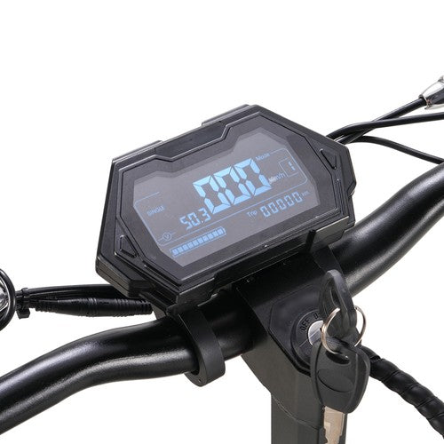 TWOFISH V5 MAX Elektroroller mit Sitz, 800-W-Motor, 48 V 18 Ah