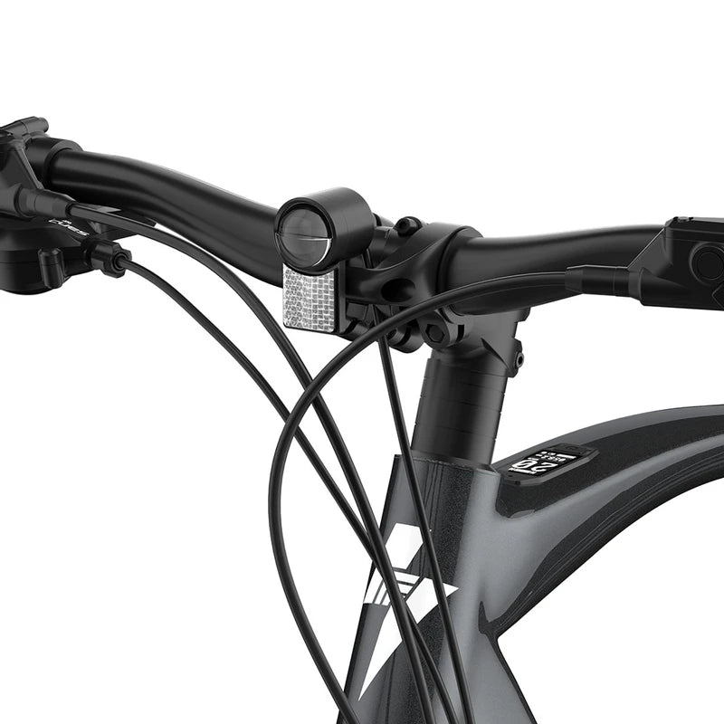 Fafrees F700W Elektrofahrrad 100 km
