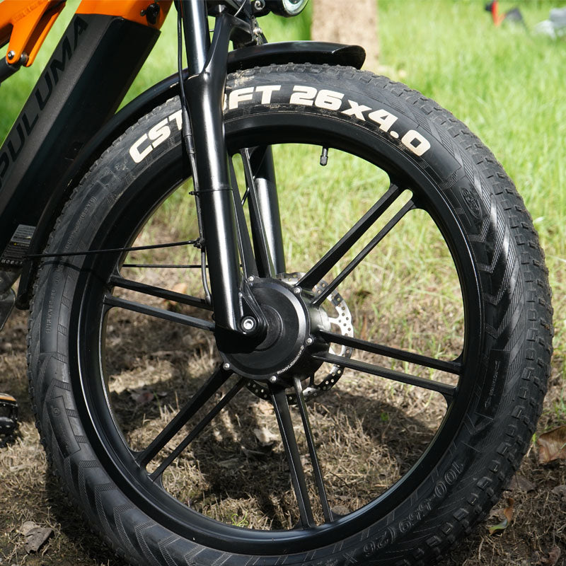 PULUMA PH003 MAX 2000W Fat Tire Doppelmotor Elektrofahrrad