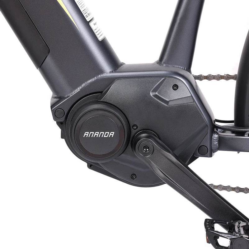 Eleglide C1 ST Elektrofahrrad
