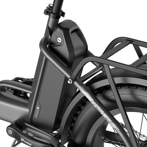 Fafrees FF20 Polar Elektrofahrrad, 500-W-Motor, 48 V 24 Ah