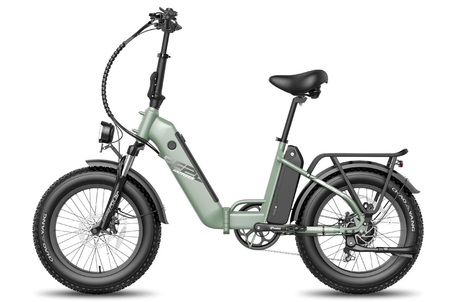 FAFREES F20 Polar Elektrofahrrad