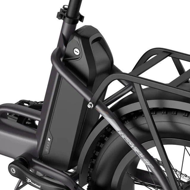 FAFREES F20 Polar Elektrofahrrad