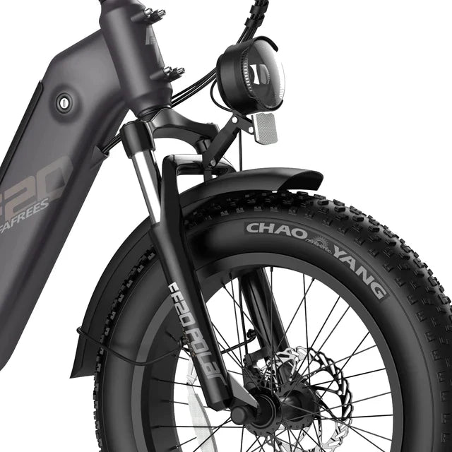 FAFREES F20 Polar Elektrofahrrad