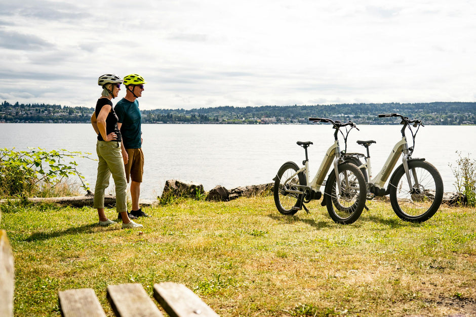E-bikes - elekset.com
