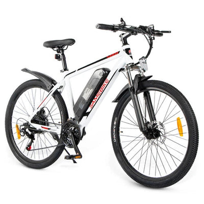 Electric bikes