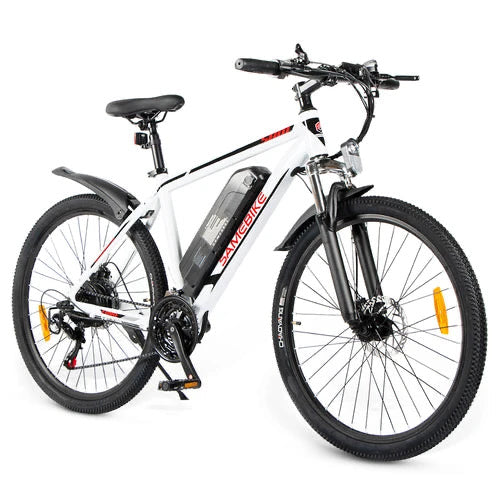 Electric bikes