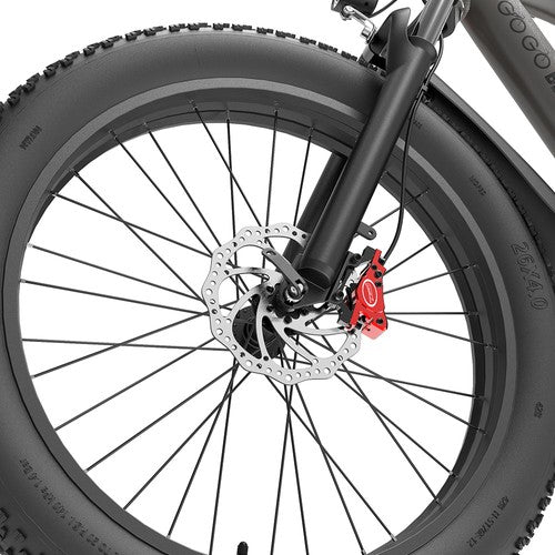 GOGOBEST GF600 Plus Elektrofahrrad, 1000 W Motor, 48 V 20 Ah