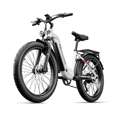 Shengmilo MX06 Elektrofahrrad 1000W