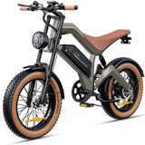 DYU M20 All-Terrain-Elektrofahrrad mit großer Reichweite