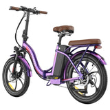 Fafrees F20+ Pro Electric Bike purple - elekset.com