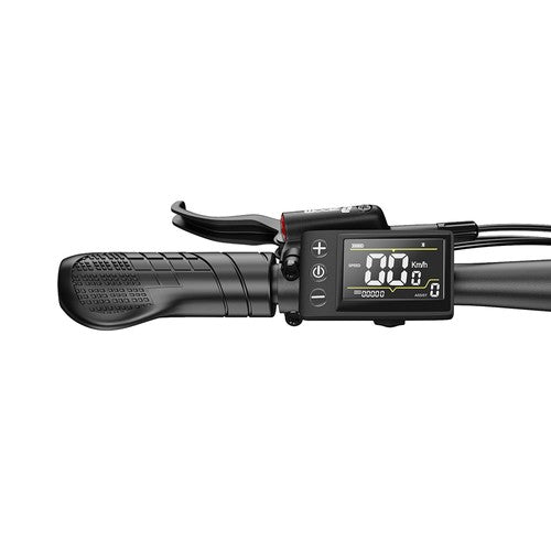 DUOTTS C29 Max Elektrofahrrad, 250-W-Motor, 48 V 18 Ah