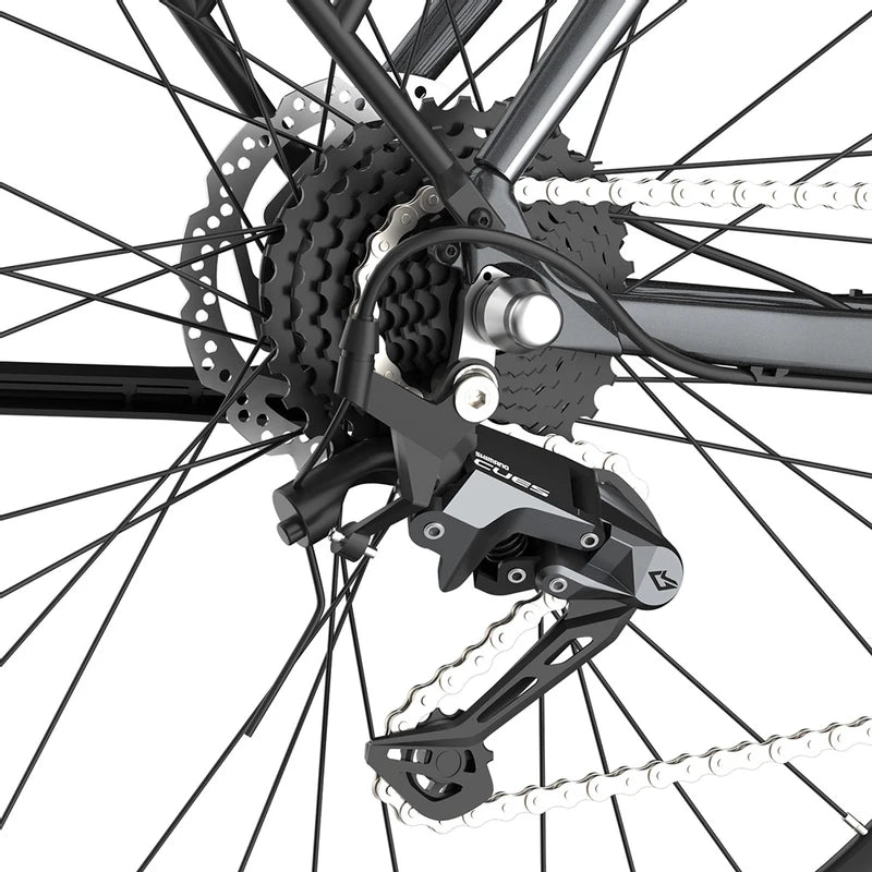 Fafrees F700M Elektrofahrrad 100 km