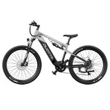 DUOTTS E29 Elektrofahrrad, 250-W-Motor, 48-V-13,5-Ah-Akku, 27,5 Zoll
