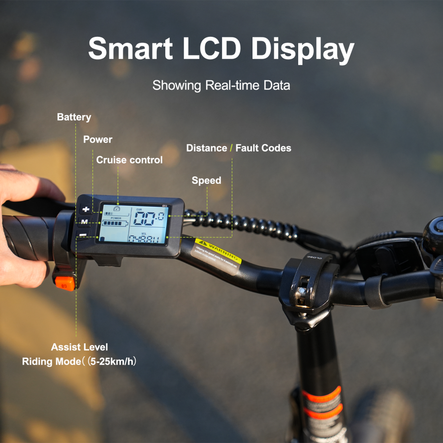 AVDL A10 Elektrofahrrad 250W