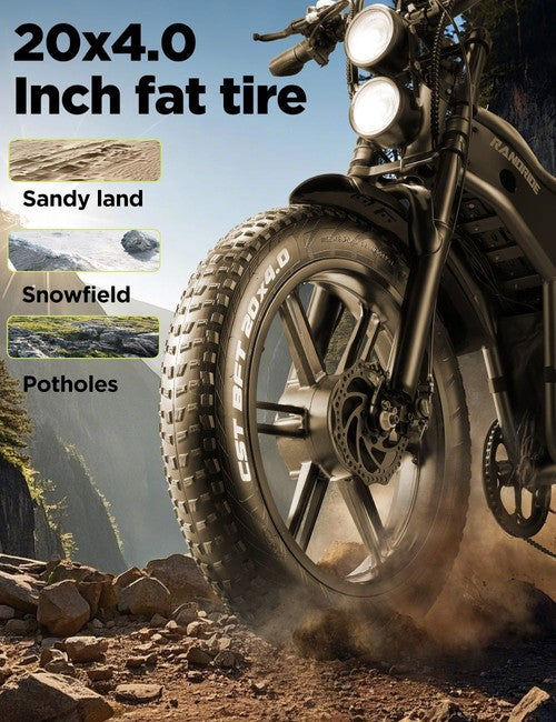 RANDRIDE DM711 Elektrofahrrad 1000W*2 Motor, 48V 20Ah