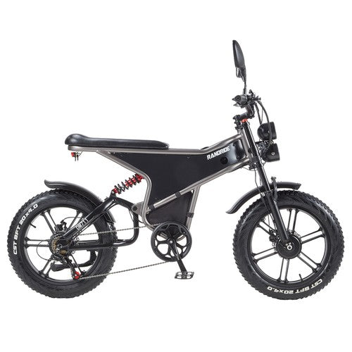 RANDRIDE DM711 Elektrofahrrad 1000W*2 Motor, 48V 20Ah