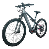 RANDRIDE YG90A Elektrofahrrad 1000W Motor 45km/h max