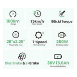 Touroll B2 Elektrofahrrad 250W Motor 36V 15.6Ah