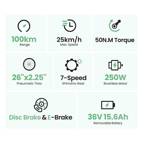 Touroll B2 Elektrofahrrad 250W Motor 36V 15.6Ah