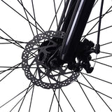 PVY M29 Elektrofahrrad 250W Motor 48V 17,5Ah