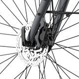 Fafrees F700M Elektrofahrrad 100 km