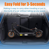 TWOFISH V1 MAX E-Scooter, 400-W-Motor