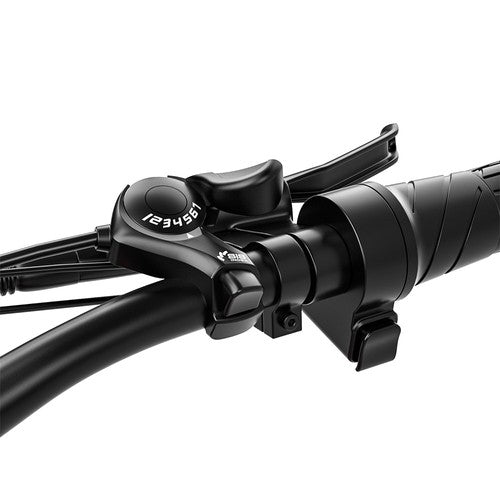 RANDRIDE YG90B Elektrofahrrad 1000W Motor 45km/h max