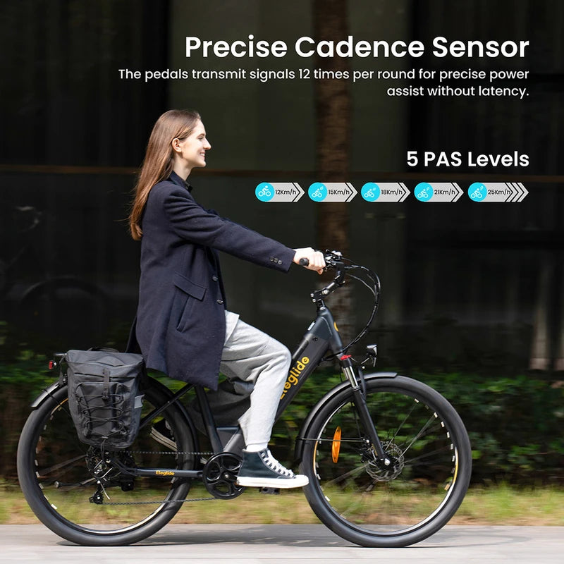 Eleglide T2 Elektrofahrrad 250W Motor 36V 13Ah