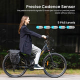 Eleglide T2 Elektrofahrrad 250W Motor 36V 13Ah