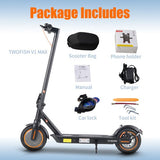 TWOFISH V1 MAX E-Scooter, 400-W-Motor