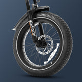 Eahora Juliet 1000W Elektrofahrrad 48V 60Ah 