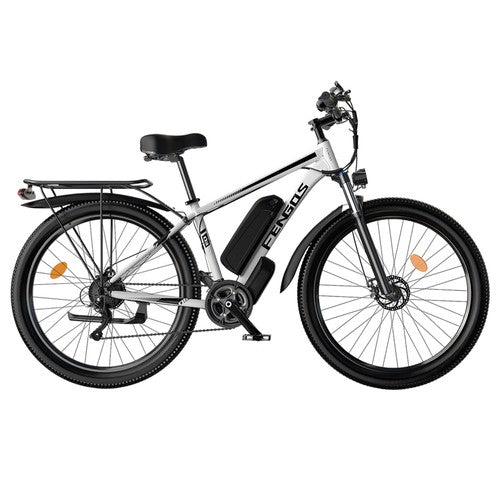FENGQS Q8 Elektrofahrrad, 750-W-Motor, 48 V, 17,5 Ah, 50 km/h