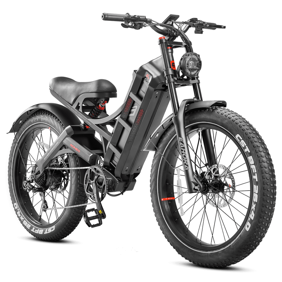 Eahora Romeo Pro Elektrofahrrad 1200W 60Ah