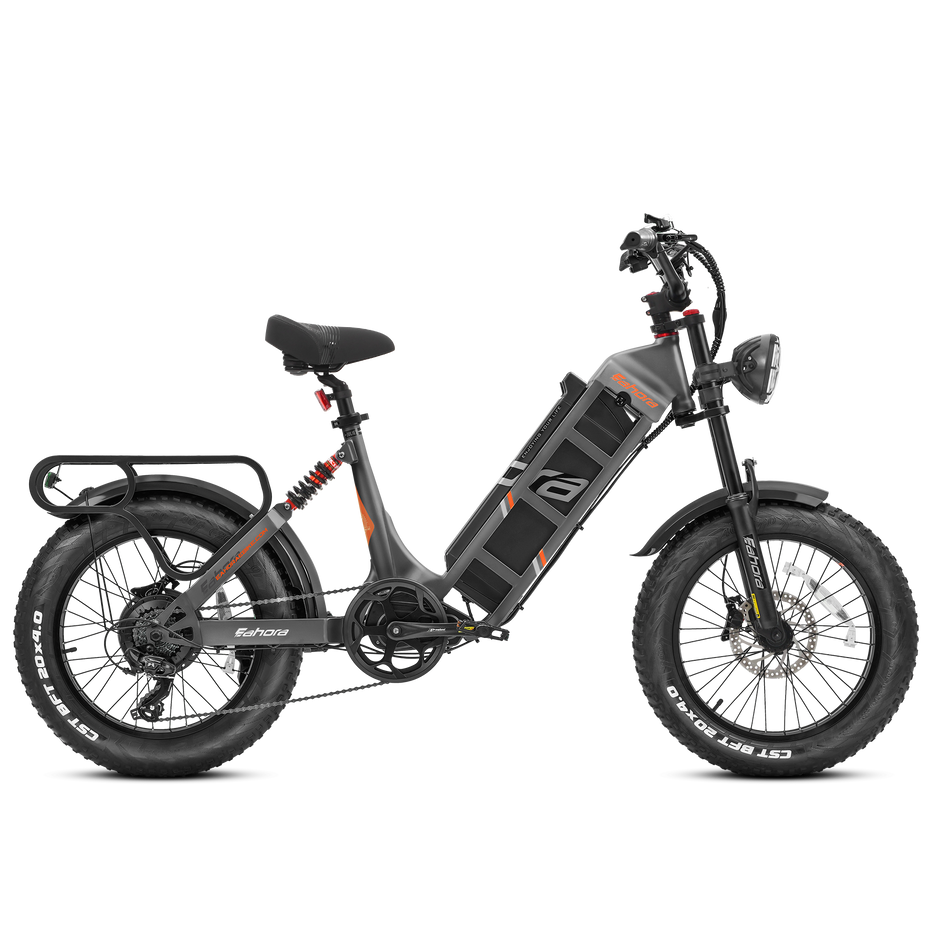 Eahora Juliet 1000W Elektrofahrrad 48V 60Ah 