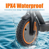 TWOFISH V1 MAX E-Scooter, 400-W-Motor