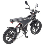 RANDRIDE DM711 Elektrofahrrad 1000W*2 Motor, 48V 20Ah