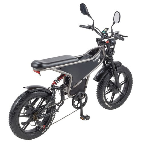 RANDRIDE DM711 Elektrofahrrad 1000W*2 Motor, 48V 20Ah