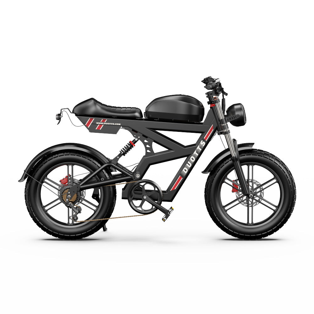 DUOTTS F20 Elektrofahrrad 27Ah 750W