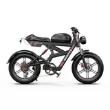 DUOTTS F20 Elektrofahrrad 27Ah 750W